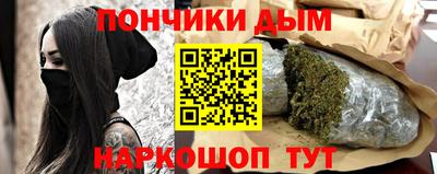 индика Можайск