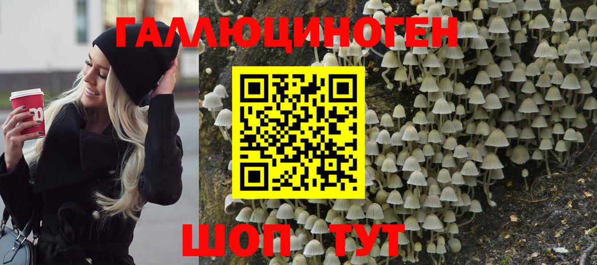 Галлюциногенные грибы Magic Shrooms  Вход с VPN  сколько стоит  Туймазы 